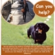 Can you help Poster