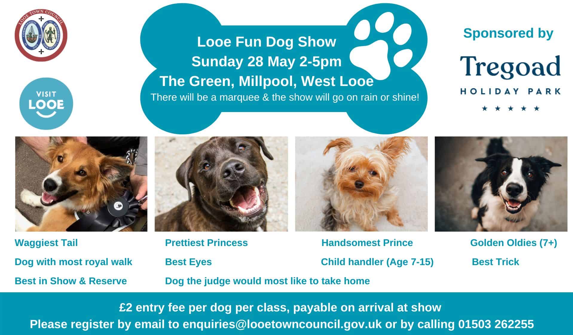 Looe Fun Dog Show Web sized image