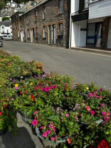 Looe In Bloom 2