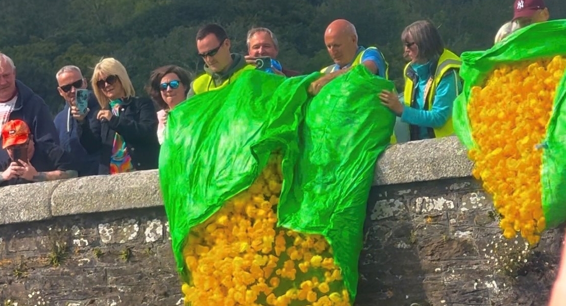 Looe Duck Race Still 4
