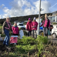 Looe In Bloom Hannafore