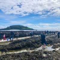 Screenshot 2025 04 25 115246