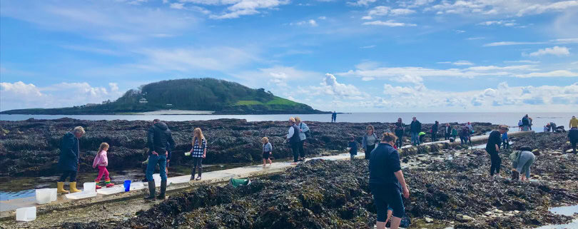 Screenshot 2025 04 25 115246