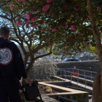 Screenshot 2025 05 08 145022