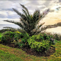 Screenshot 2026 01 08 104903