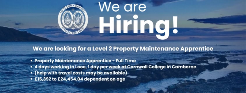 website apprentice we are Hiring