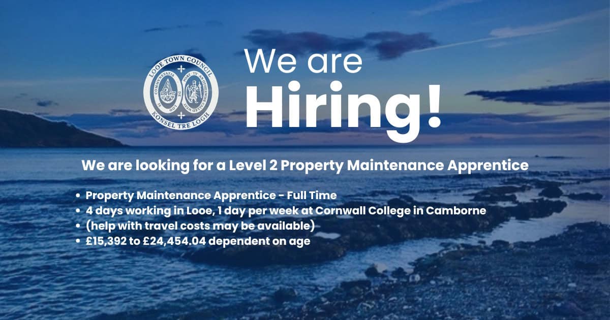 website apprentice we are Hiring