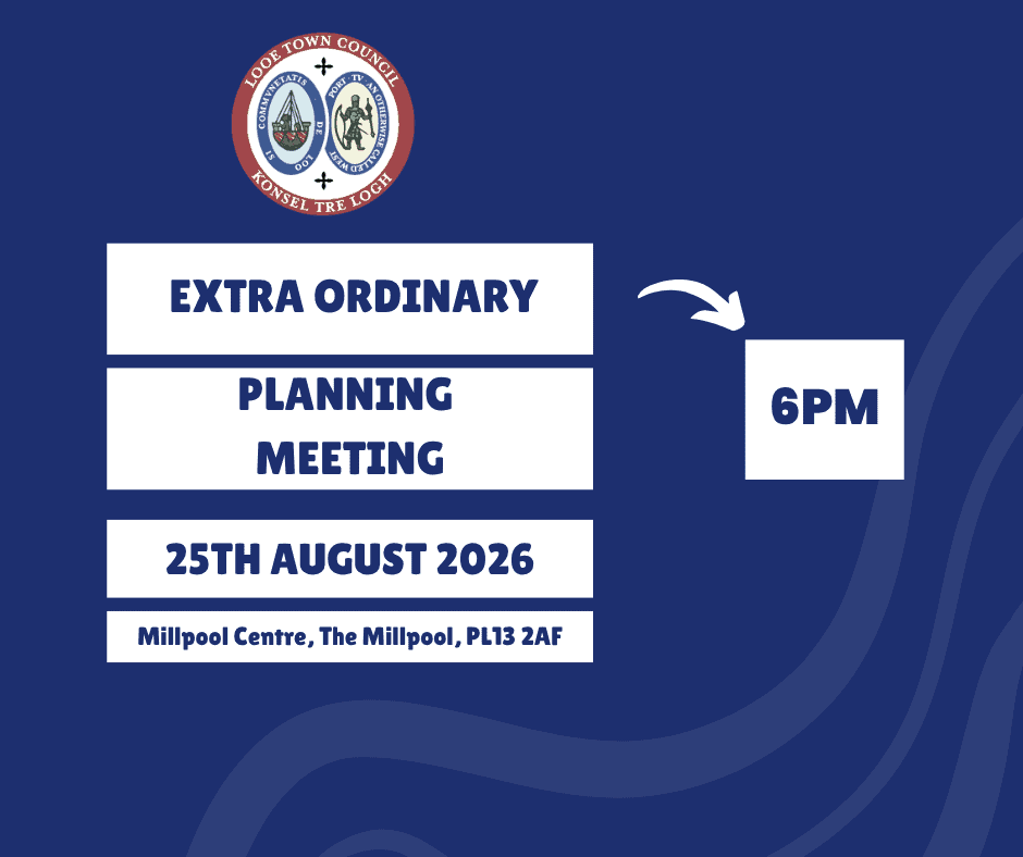 Extra ordinary planning meeting
